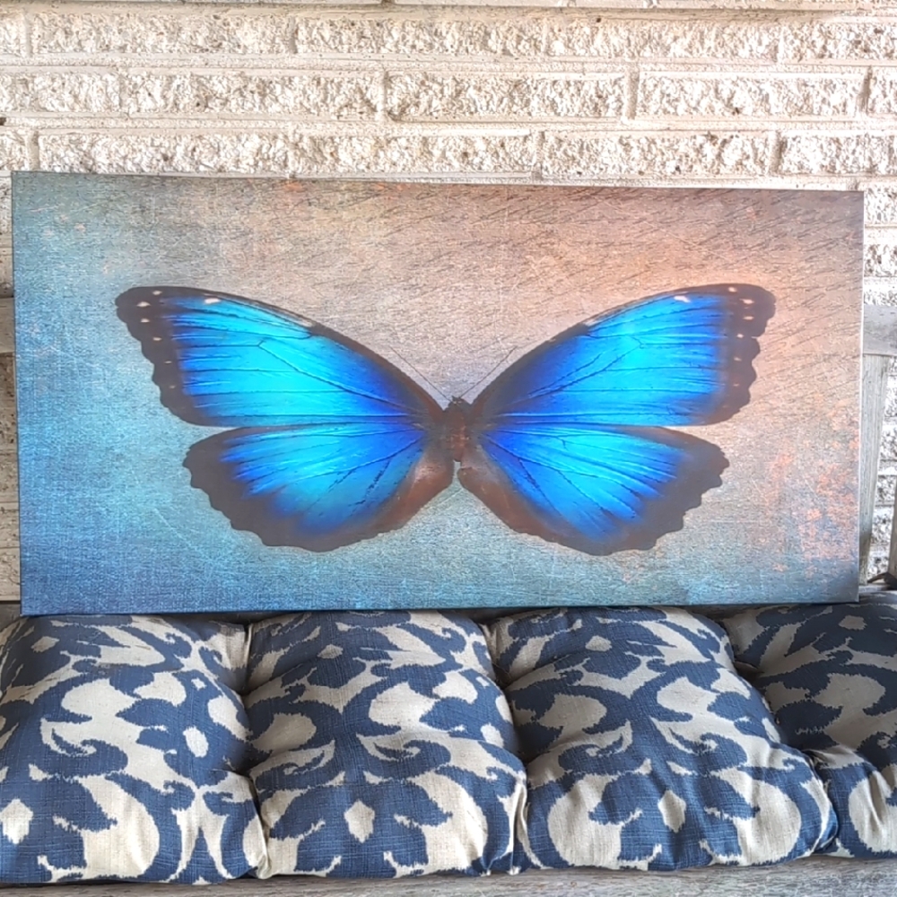 Blue Butterfly Canvas Wall Art